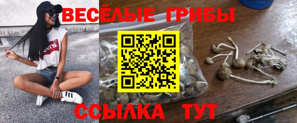 Псилоцибиновые грибы GOLDEN TEACHER Альметьевск